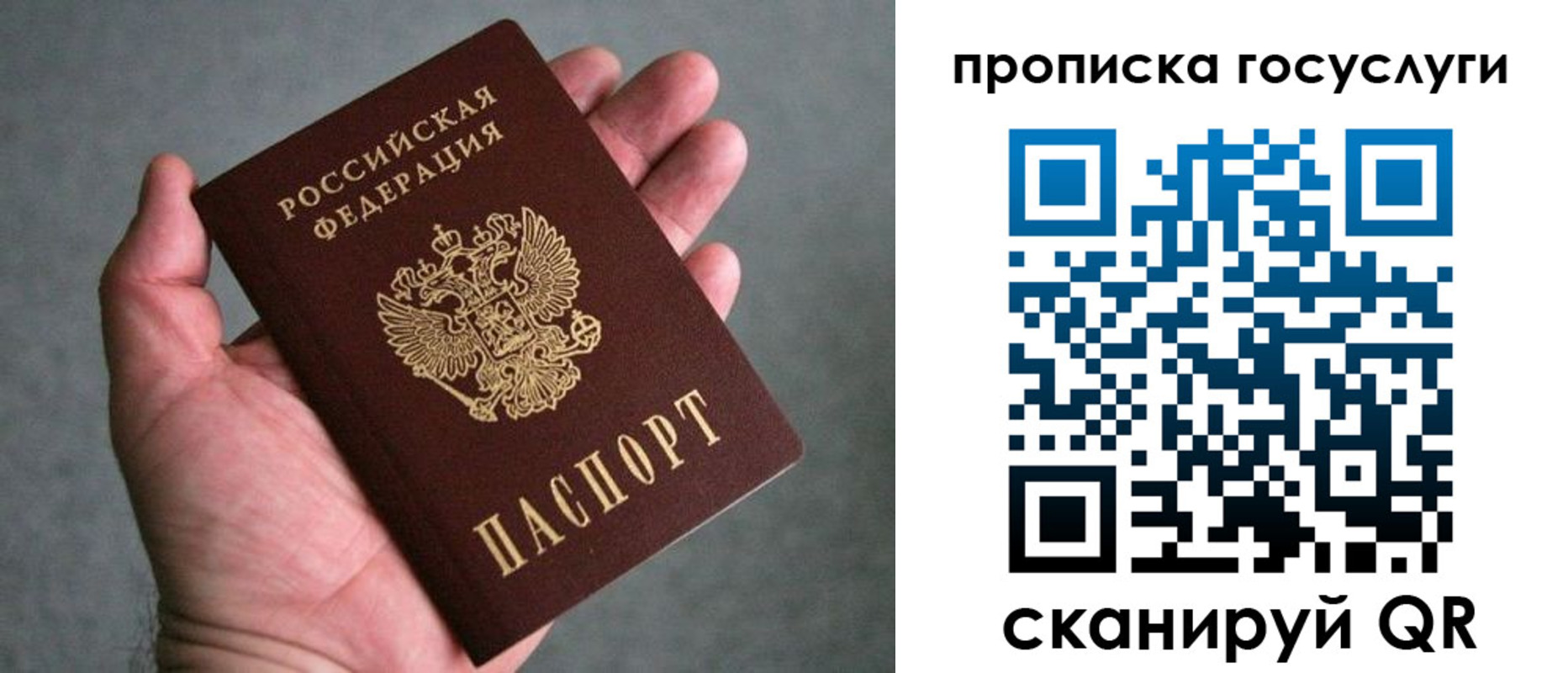 прописка в квартире в Санкт-Петербурге